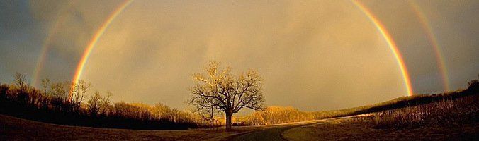 Reiki Energy Healing Reiki Energy Healing