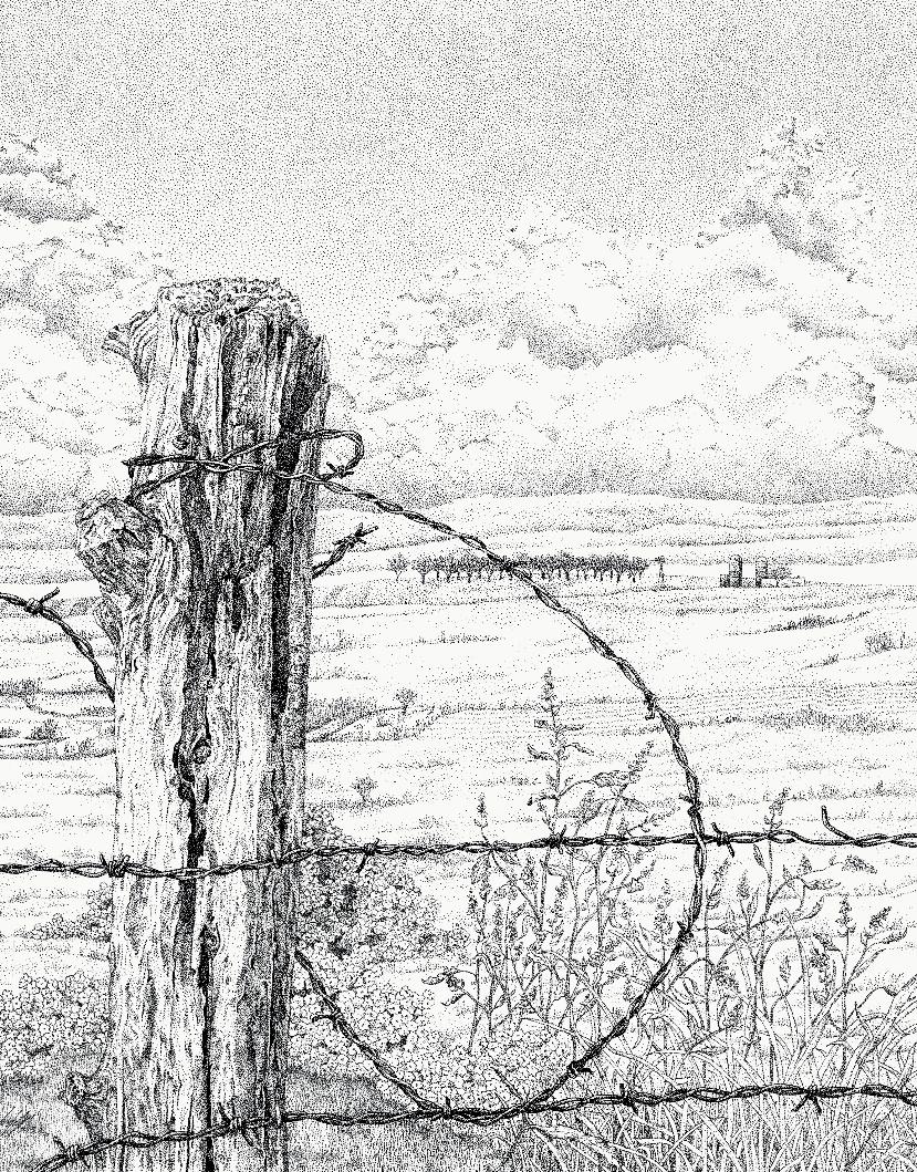 Barbwire