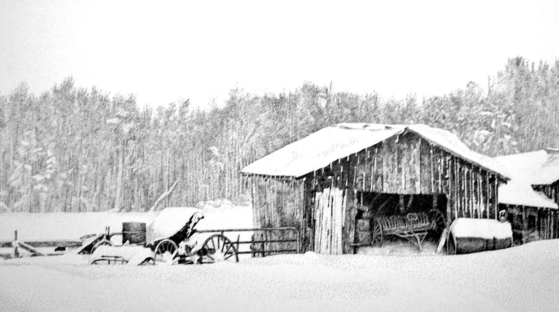 Deep Snow II