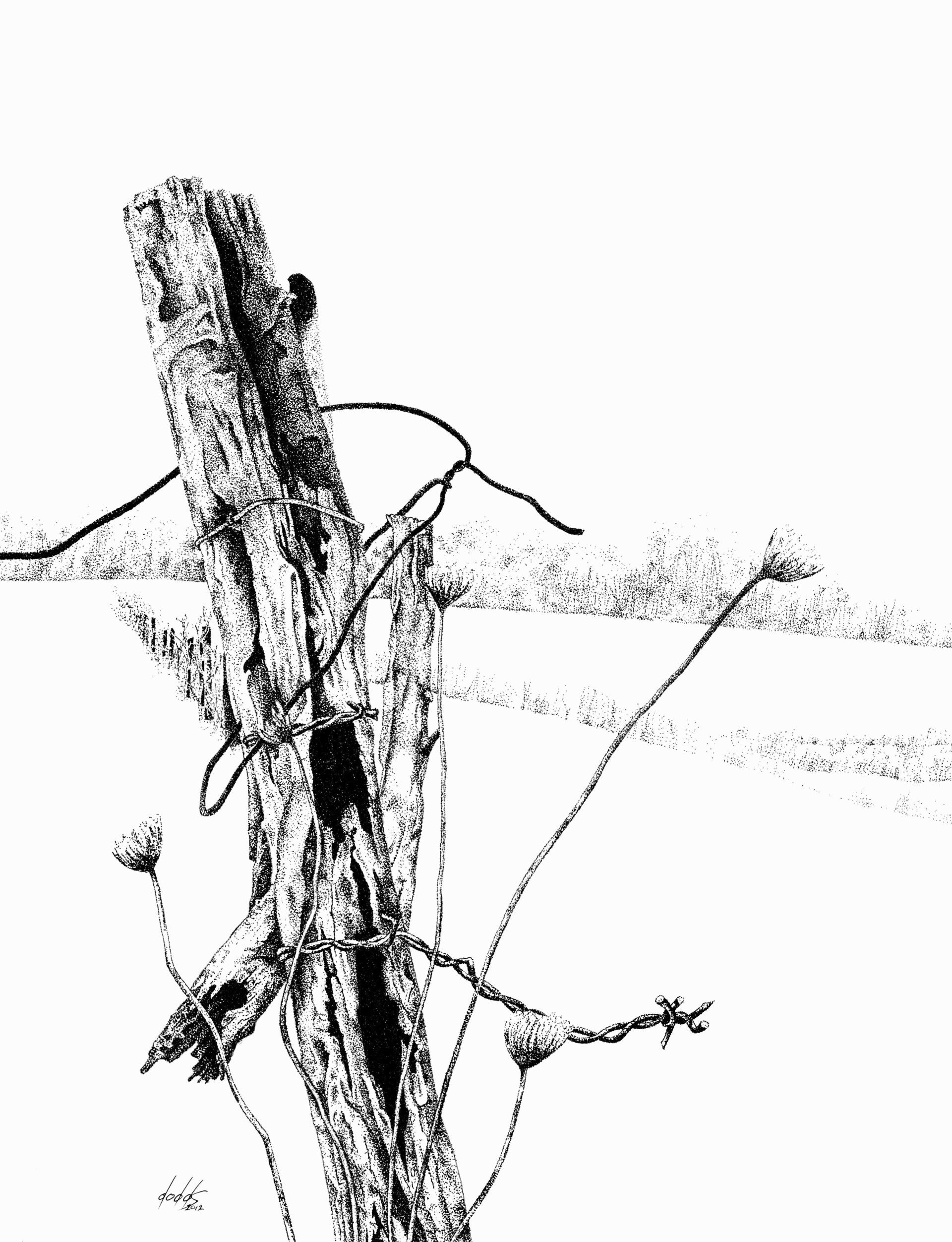Deep Snow