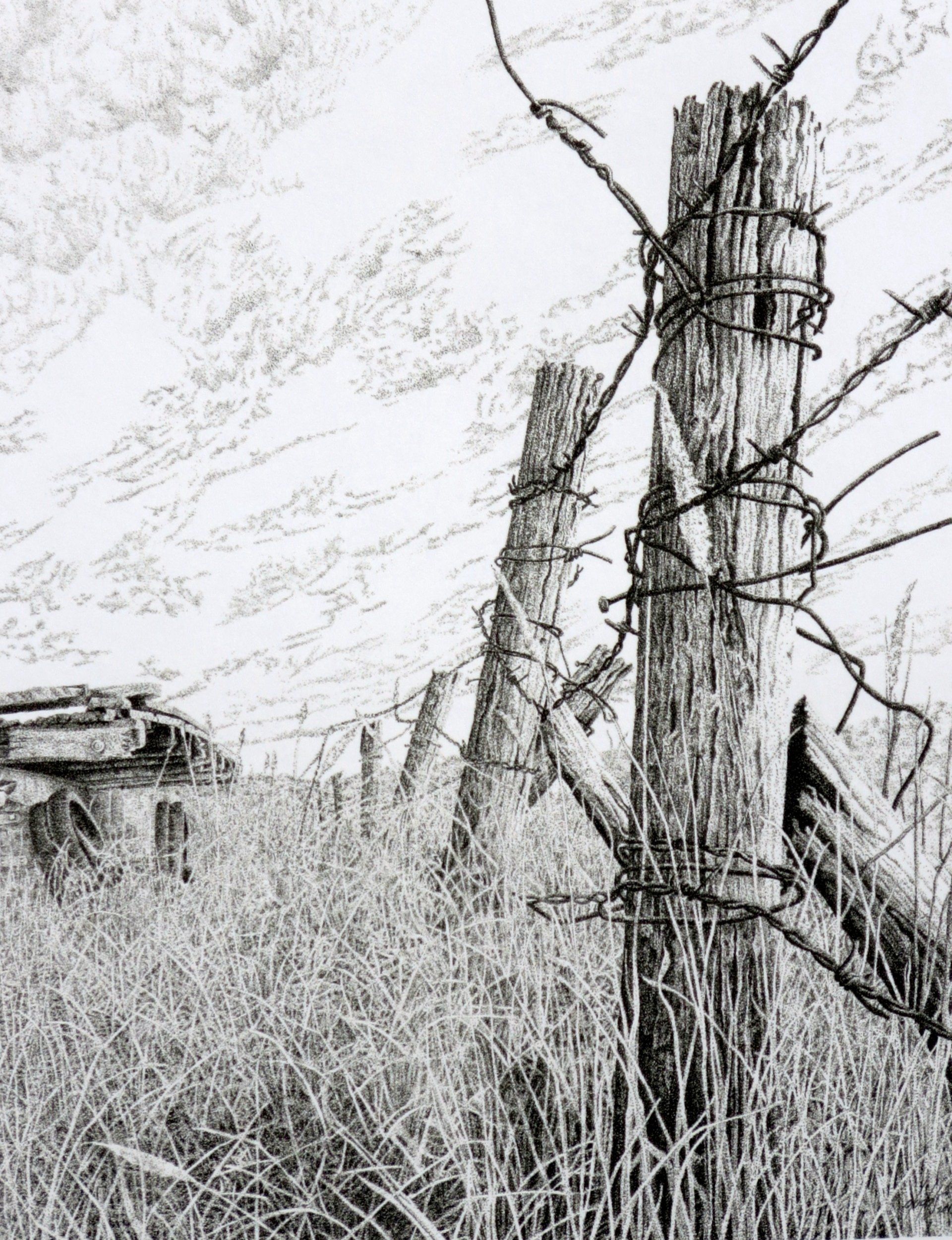 Wagon In Field