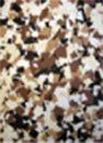 Autumn Brown Autumn Brown