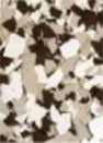 Light Earth Tone Light Earth Tone