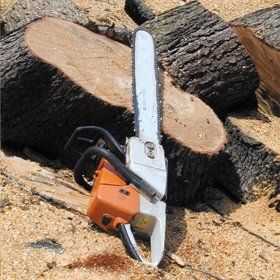 tree-surgeon-cheltenham-gloucestershire-paul-lane-chainsaw