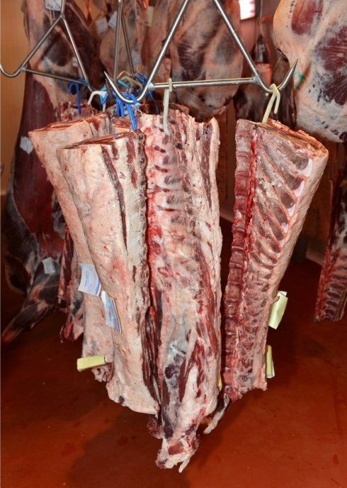 carne di produzione