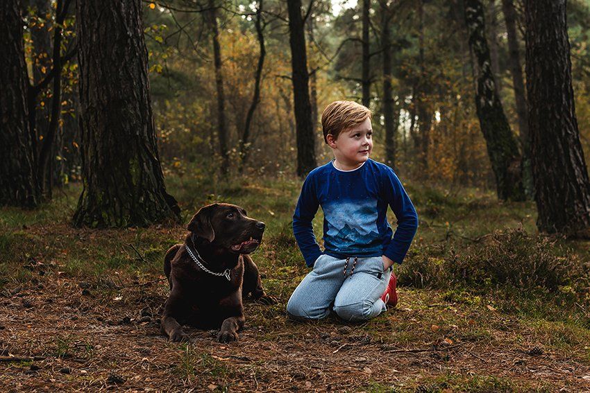Baas en Beest Fotografie, huisdieren fotografie, huisdieren fotograaf, dierenfotografie, honden foto