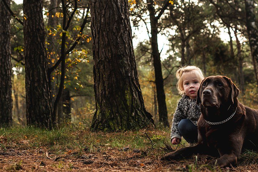 Baas en Beest Fotografie, huisdieren fotografie, huisdieren fotograaf, honden fotografie, honden fotograaf