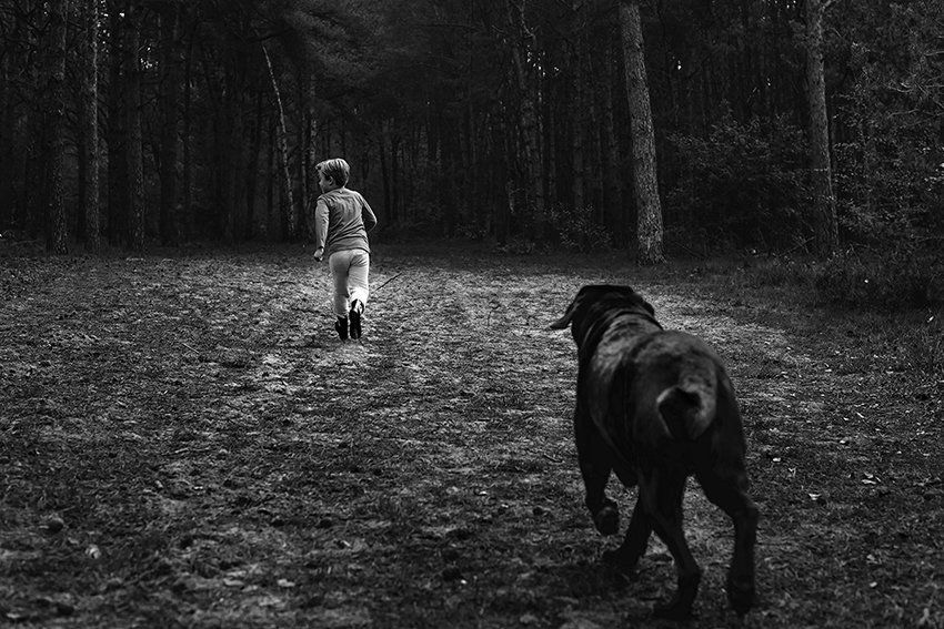 Baas en Beest Fotografie, huisdieren fotografie, huisdieren fotograaf, honden fotografie, honden fotograaf