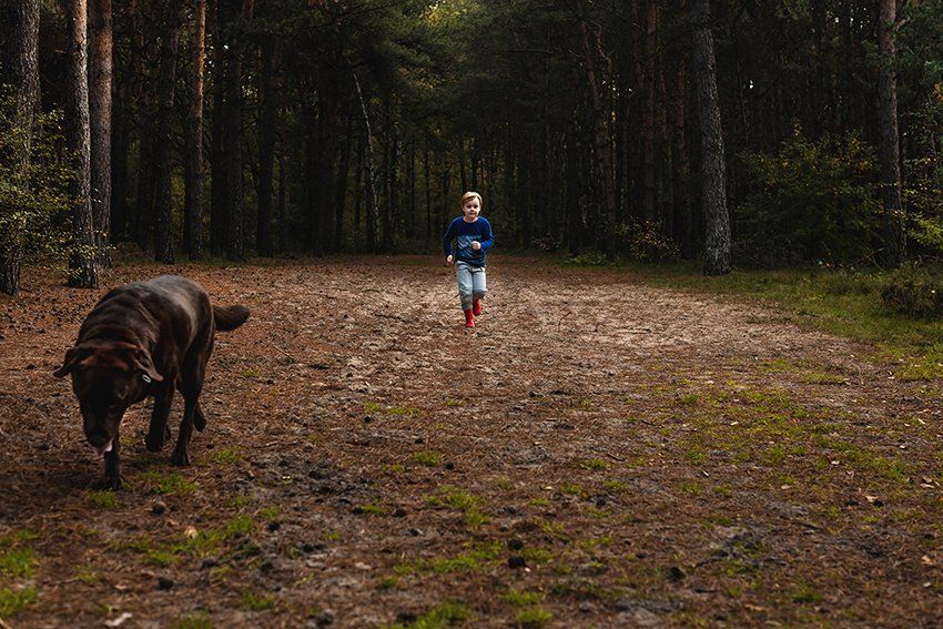 Baas en Beest Fotografie, huisdieren fotografie, huisdieren fotograaf, honden fotografie, honden fotograaf