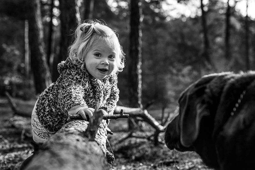Baas en Beest Fotografie, huisdieren fotografie, huisdieren fotograaf, honden fotografie, honden fotograaf