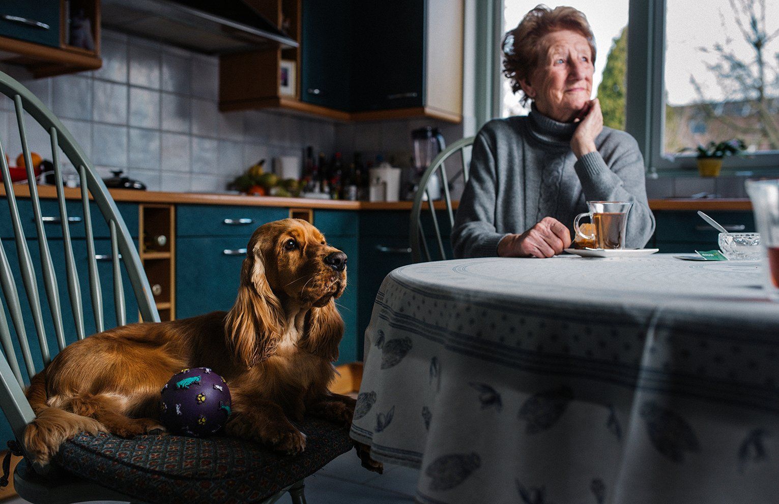 Baas en Beest Fotografie, huisdieren fotografie, huisdieren fotograaf, honden fotografie, honden fotograaf
