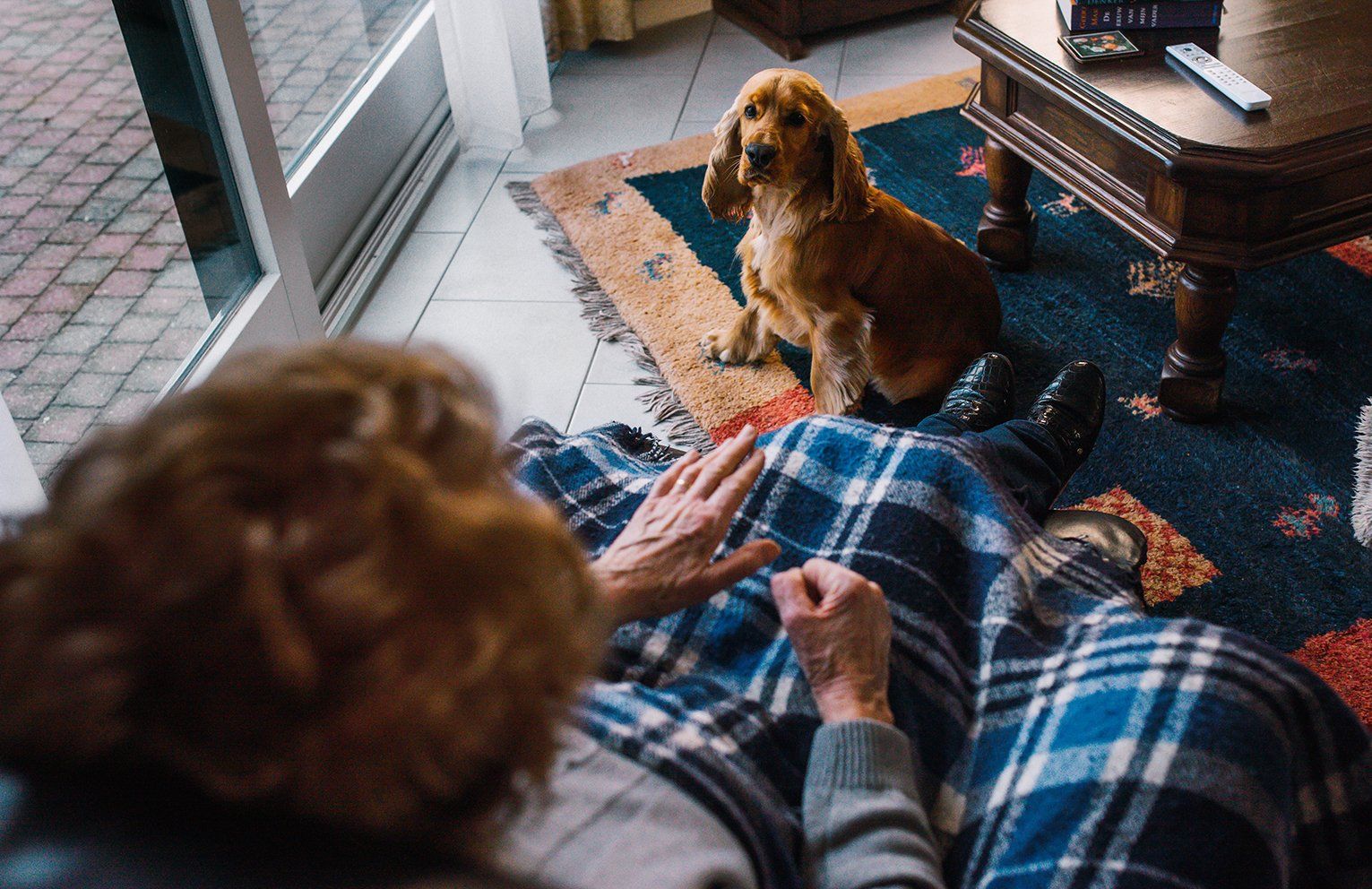 Baas en Beest Fotografie, huisdieren fotografie, huisdieren fotograaf, honden fotografie, honden fotograaf