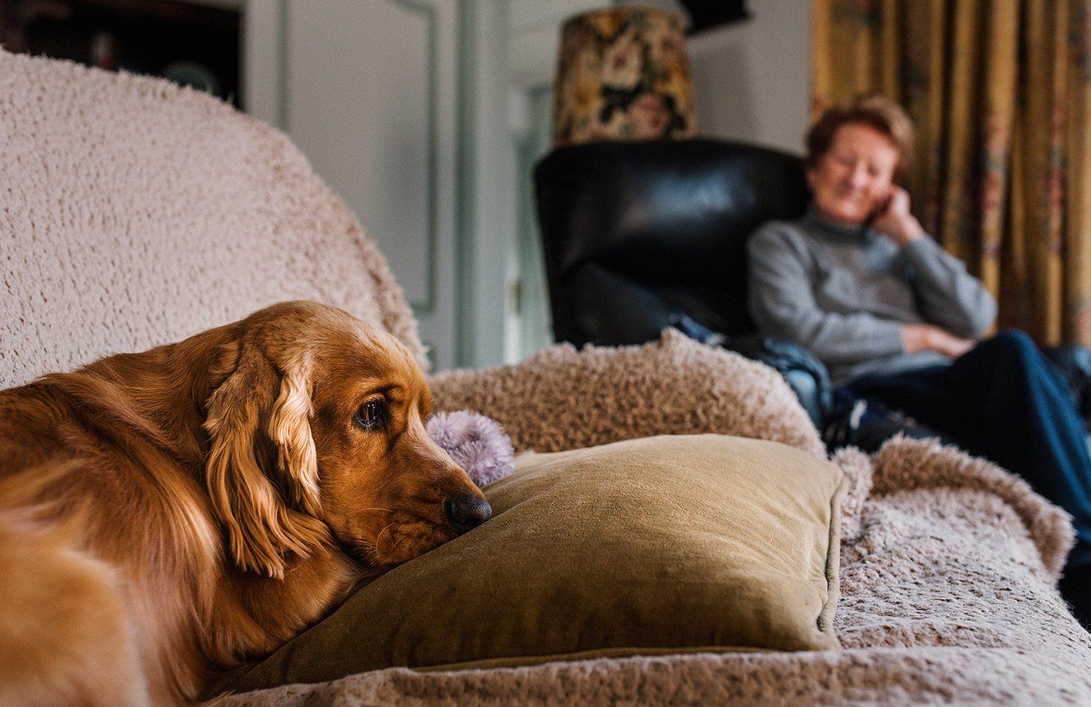 Baas en Beest Fotografie, huisdieren fotografie, huisdieren fotograaf, honden fotografie, honden fotograaf