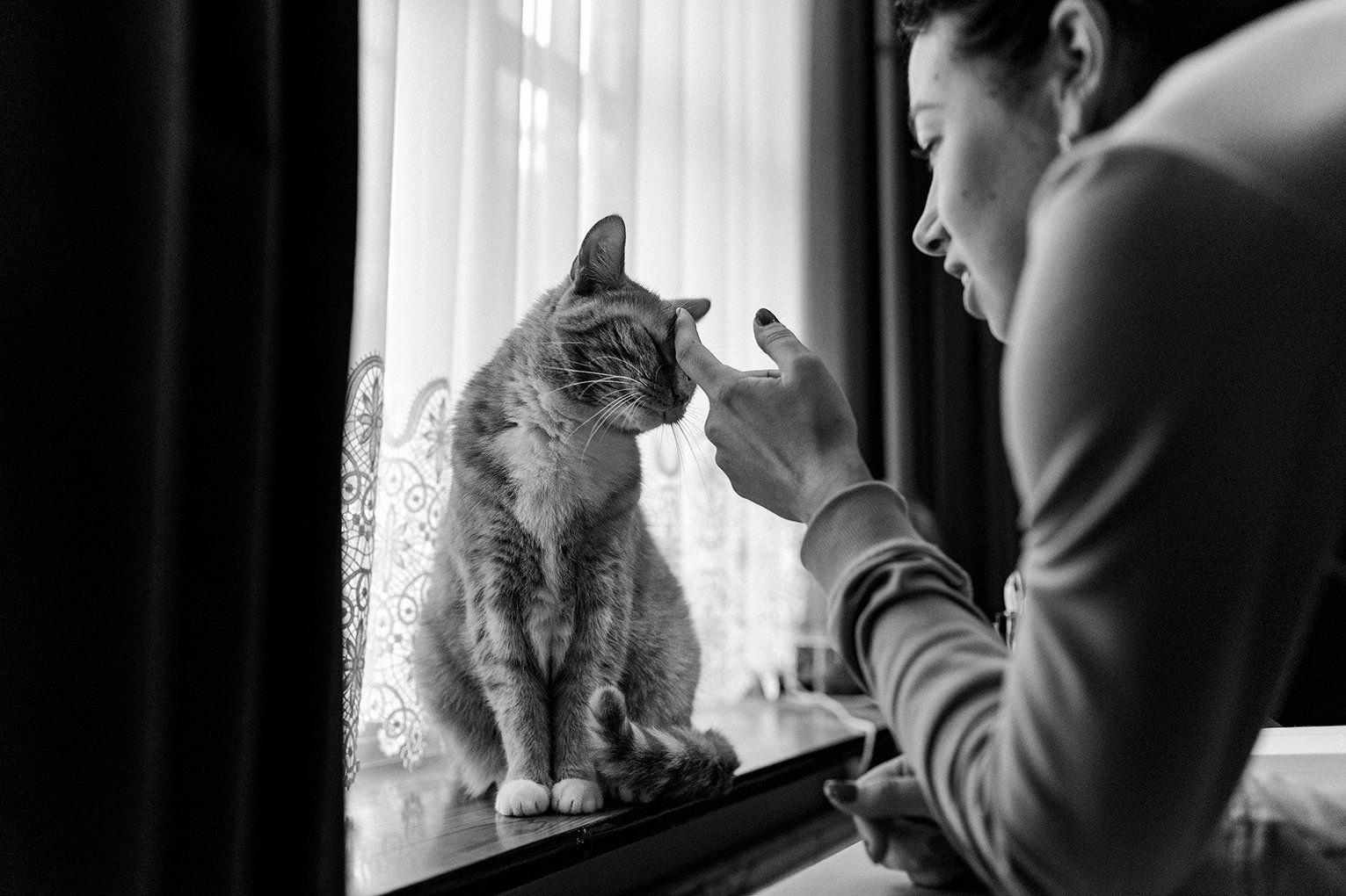 Baas en Beest Fotografie, huisdieren fotografie, huisdieren fotograaf, honden fotografie, honden fotograaf