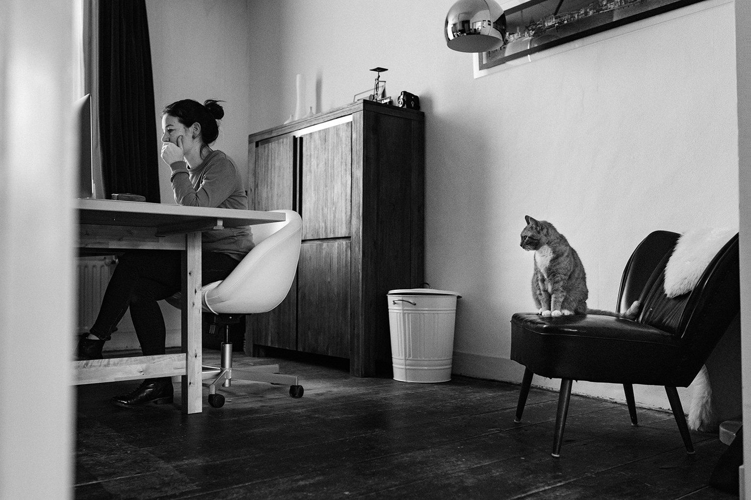 Baas en Beest Fotografie, huisdieren fotografie, huisdieren fotograaf, honden fotografie, honden fotograaf