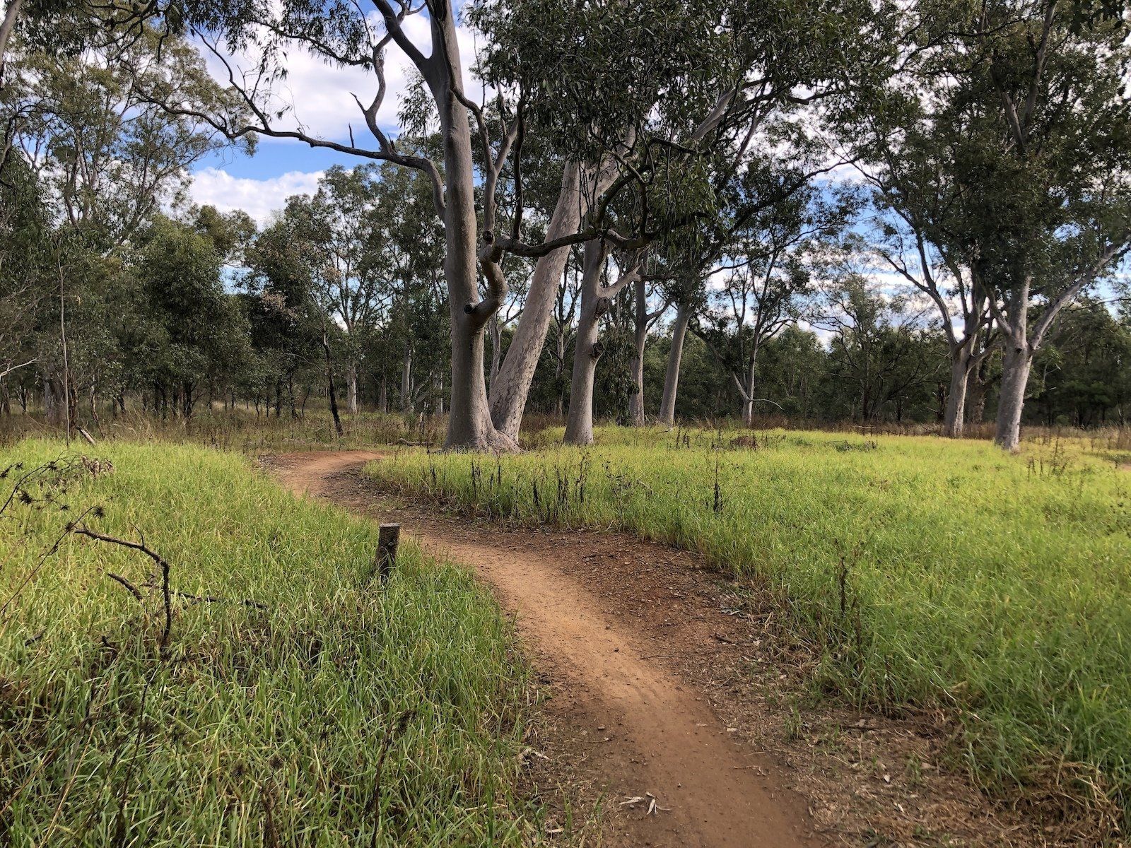 mtb track