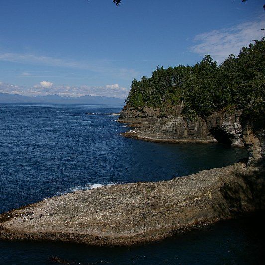 A cliff overlooking a body of water with trees on the shore.