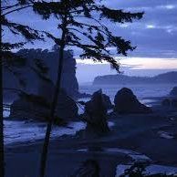 A sunset over a rocky beach with trees in the foreground and a body of water in the background.