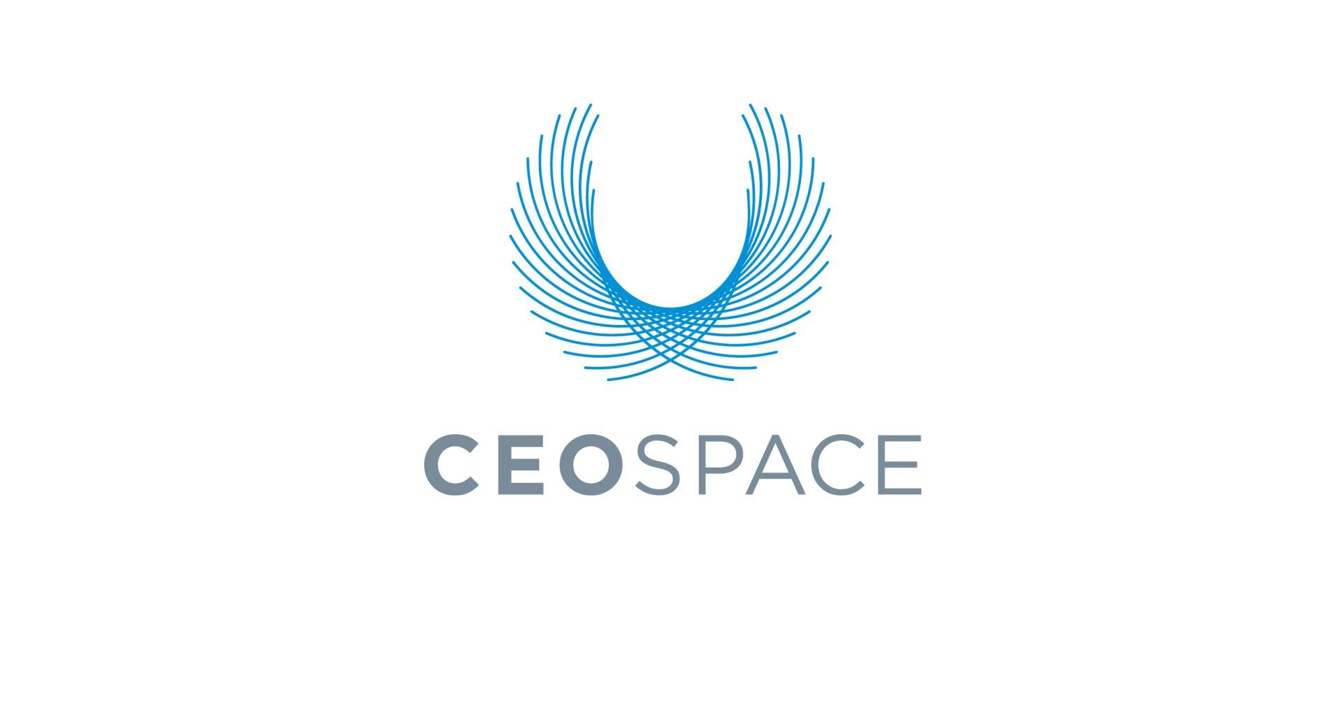 CEO Space