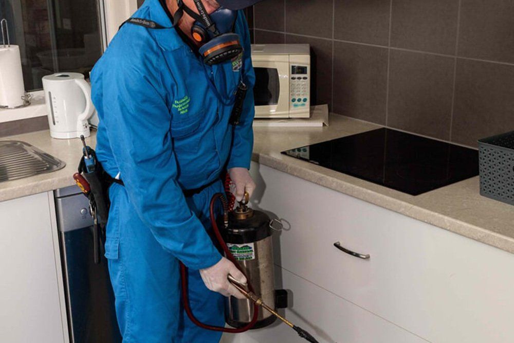 Pest Control Spraying - Pest Control in Anna Bay, NSW