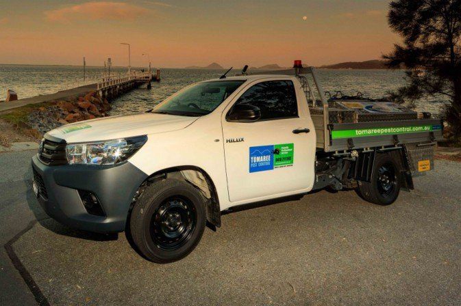 Tomaree Pest Control Ute - Pest Control in Anna Bay, NSW Tomaree Pest Control Ute - Pest Control in Anna Bay, NSW