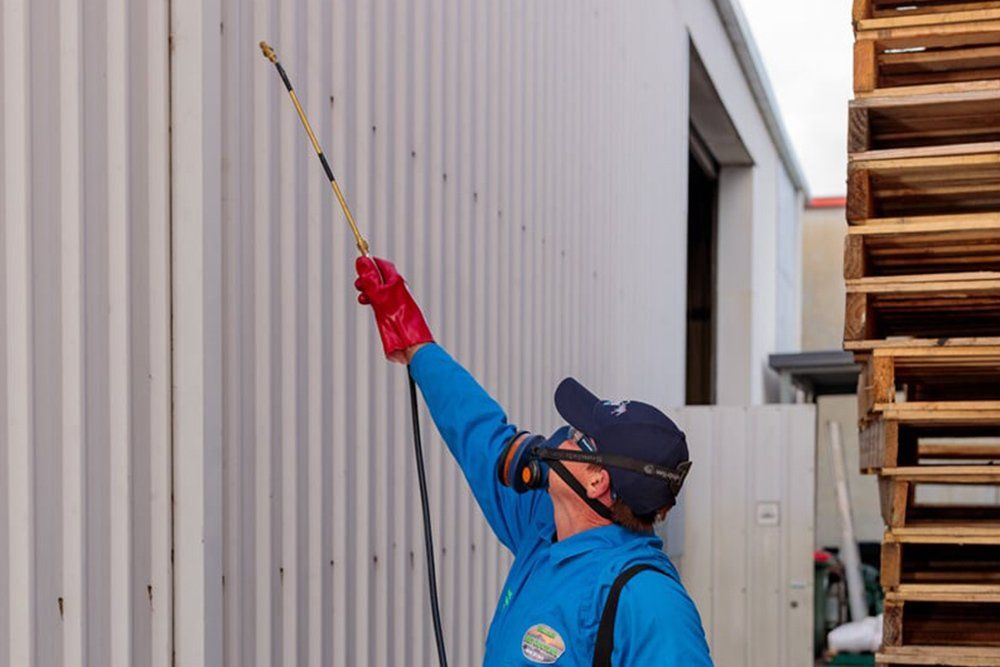 Checking For Pests - Pest Control in Anna Bay, NSW Checking For Pests - Pest Control in Anna Bay, NSW