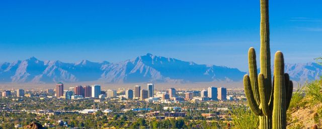 Phoenix skyline and cactus