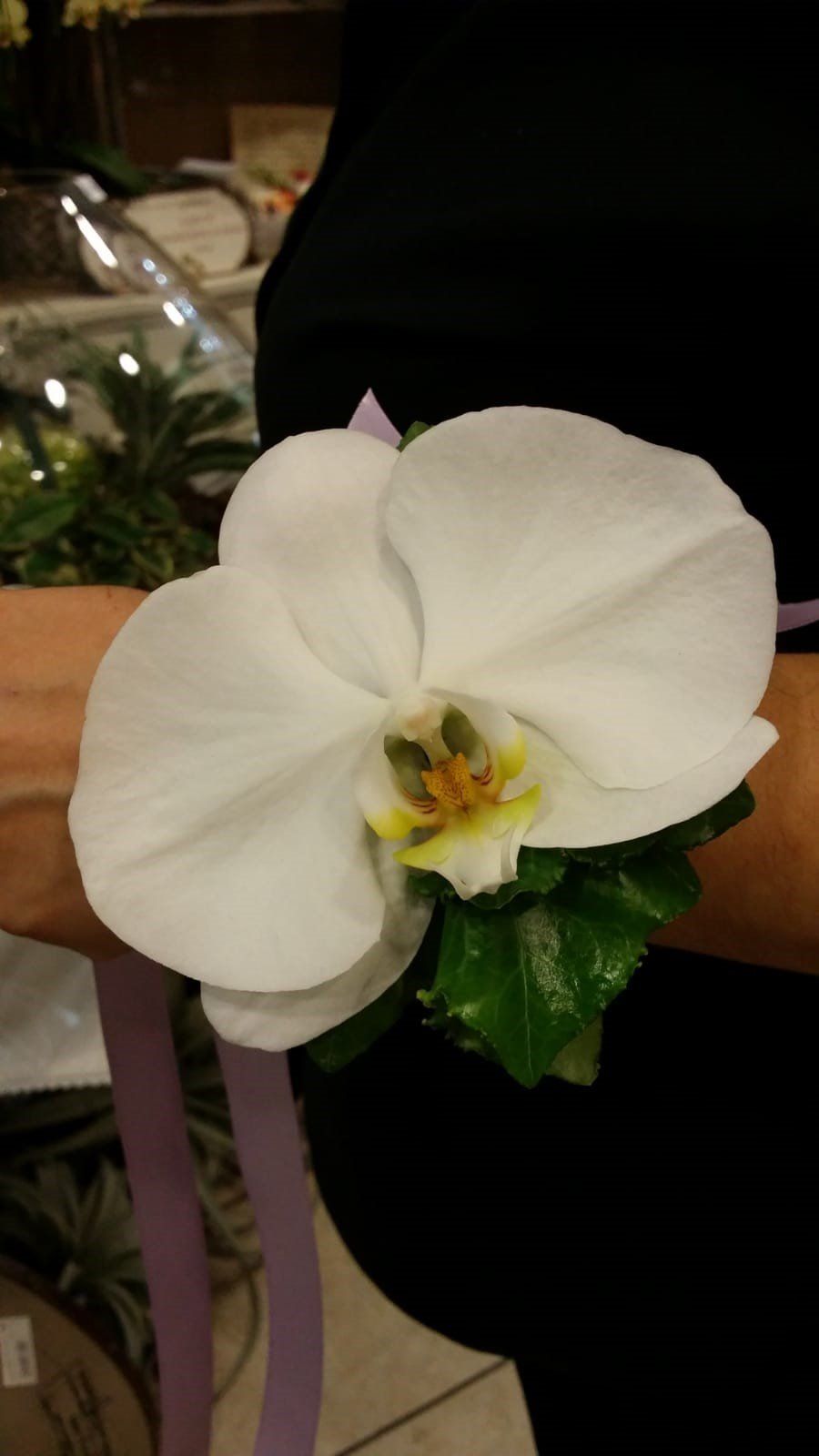 Fiore bianco