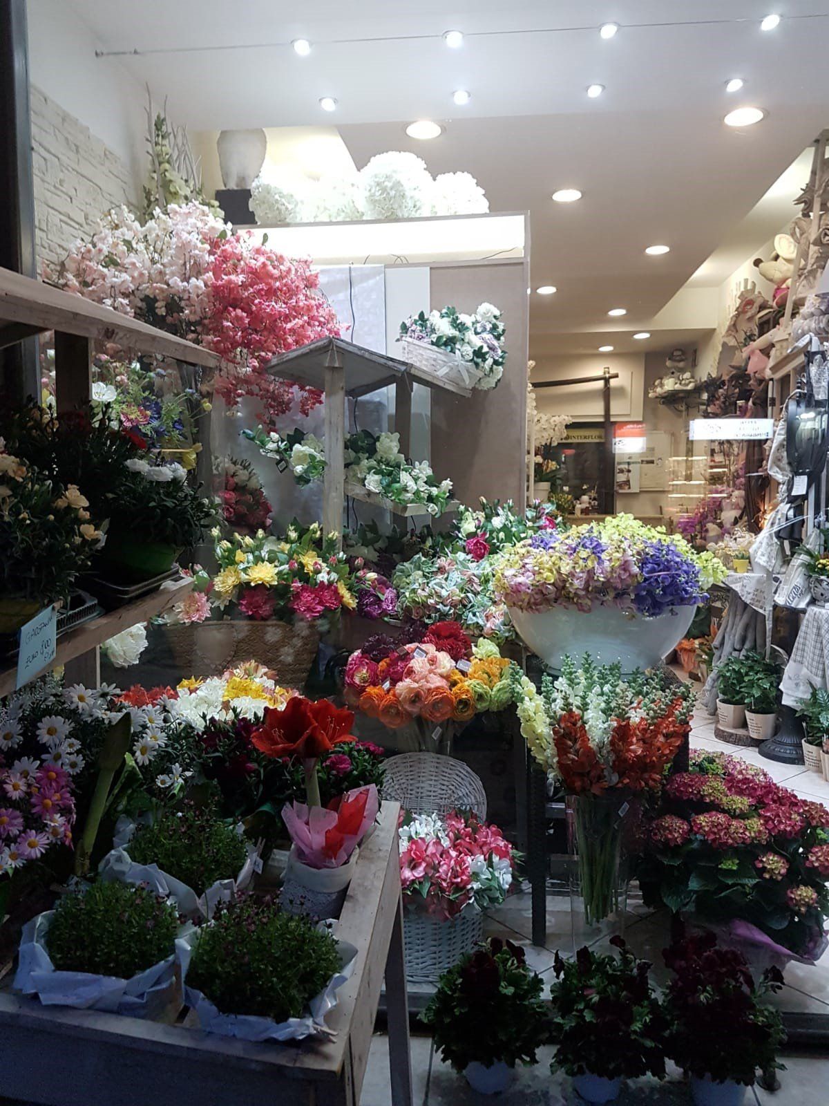 Assortimento di fiori nel negozio
