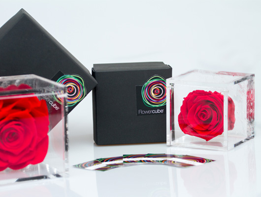 Set di rose rosse stabilizzate