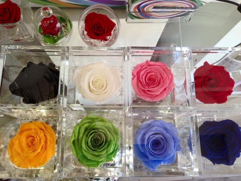 Rose colorate stabilizzate