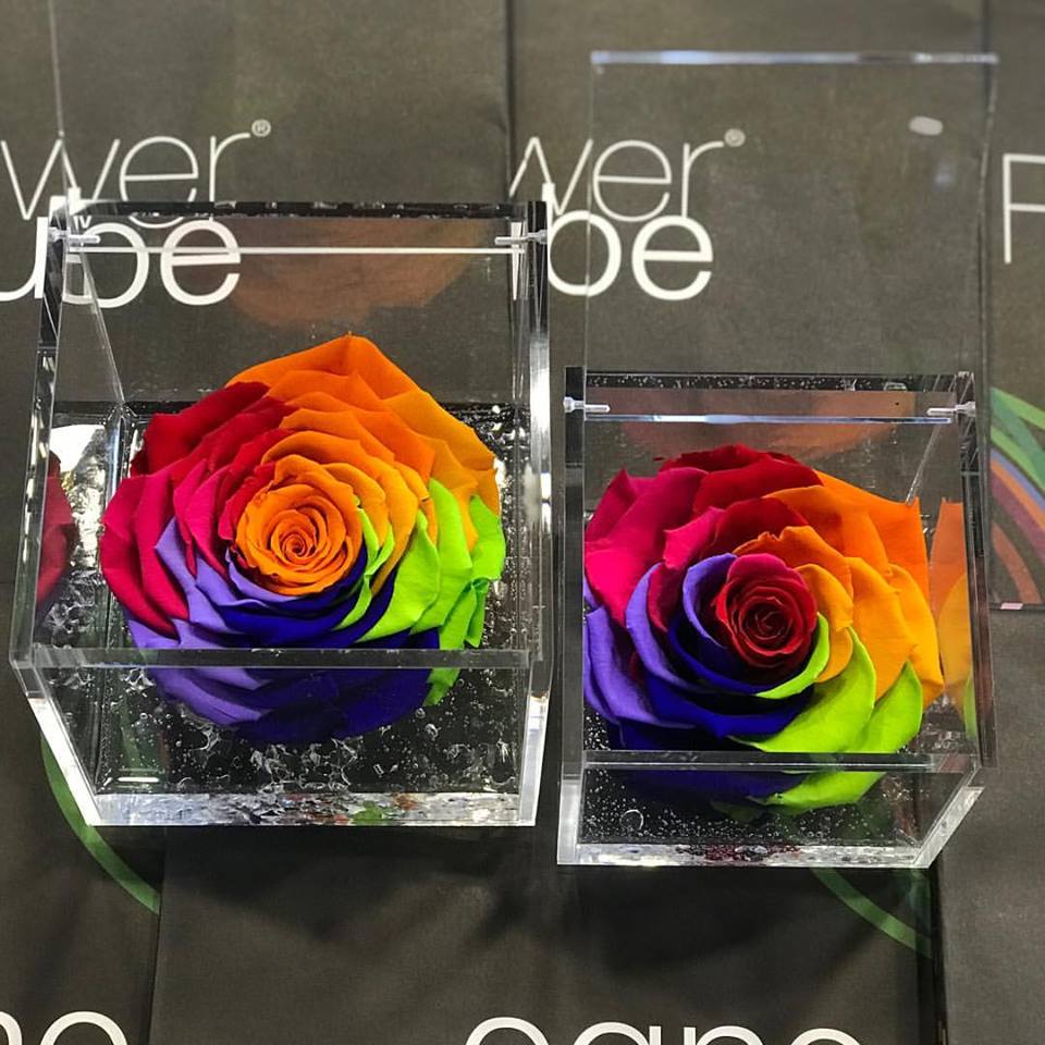 Rose stabilizzate multicolore