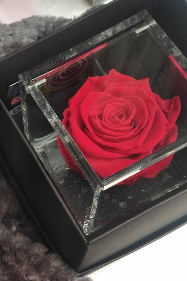 Rosa rossa con stabilizzanti