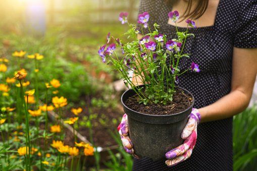 Organic Vegetable— Girl Holding Beautiful flower in [[cms:structured_address_city]], [[cms:structured_address_state]]