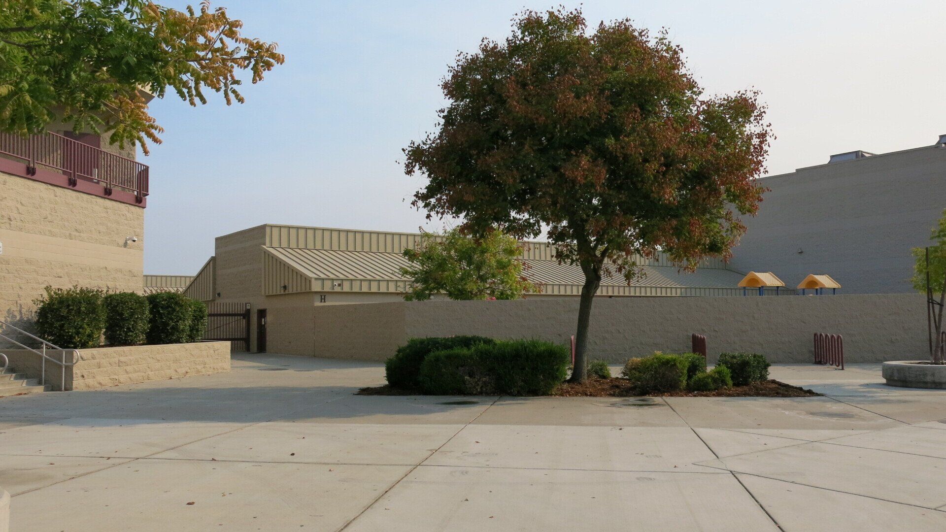 A large building with a tree in front of it