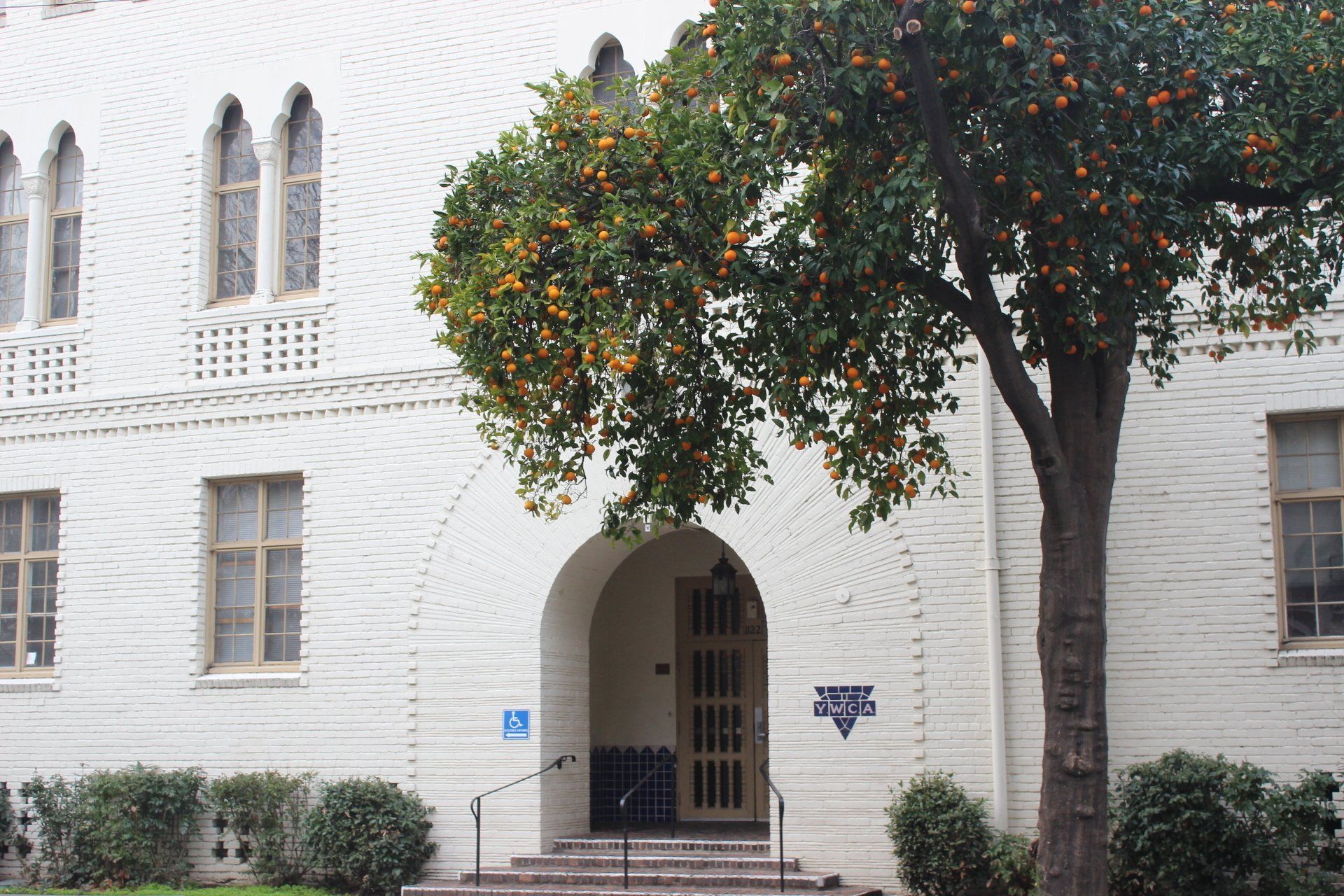 A white brick building with a tree in front of it.