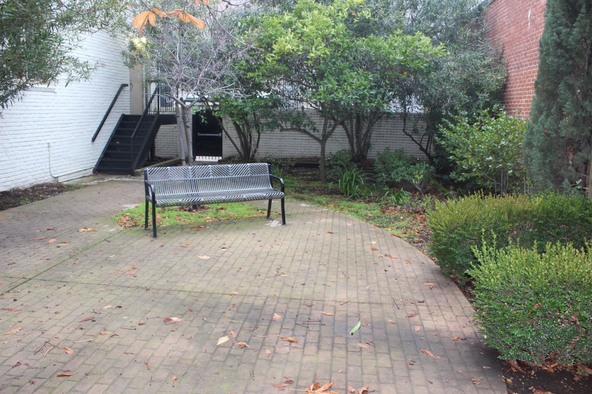 A brick walkway with a bench in the middle of it