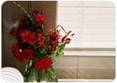 Flowers - Window Expression - USA Flowers - Window Expression - USA