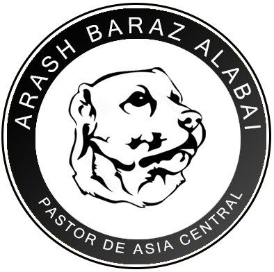 pastor de asia central en venta logo