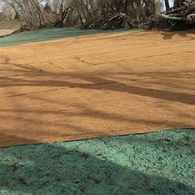 Brown erosion control mat over grass, transitioning to green grass, set outdoors.