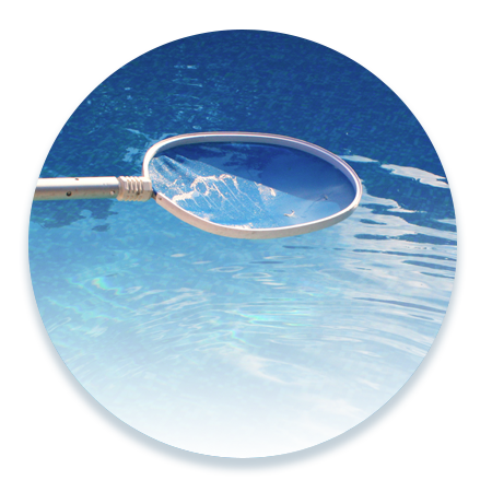 Pool Maintenance | Sky Blue Pools - Deer Park, NY Pool Maintenance | Sky Blue Pools - Deer Park, NY