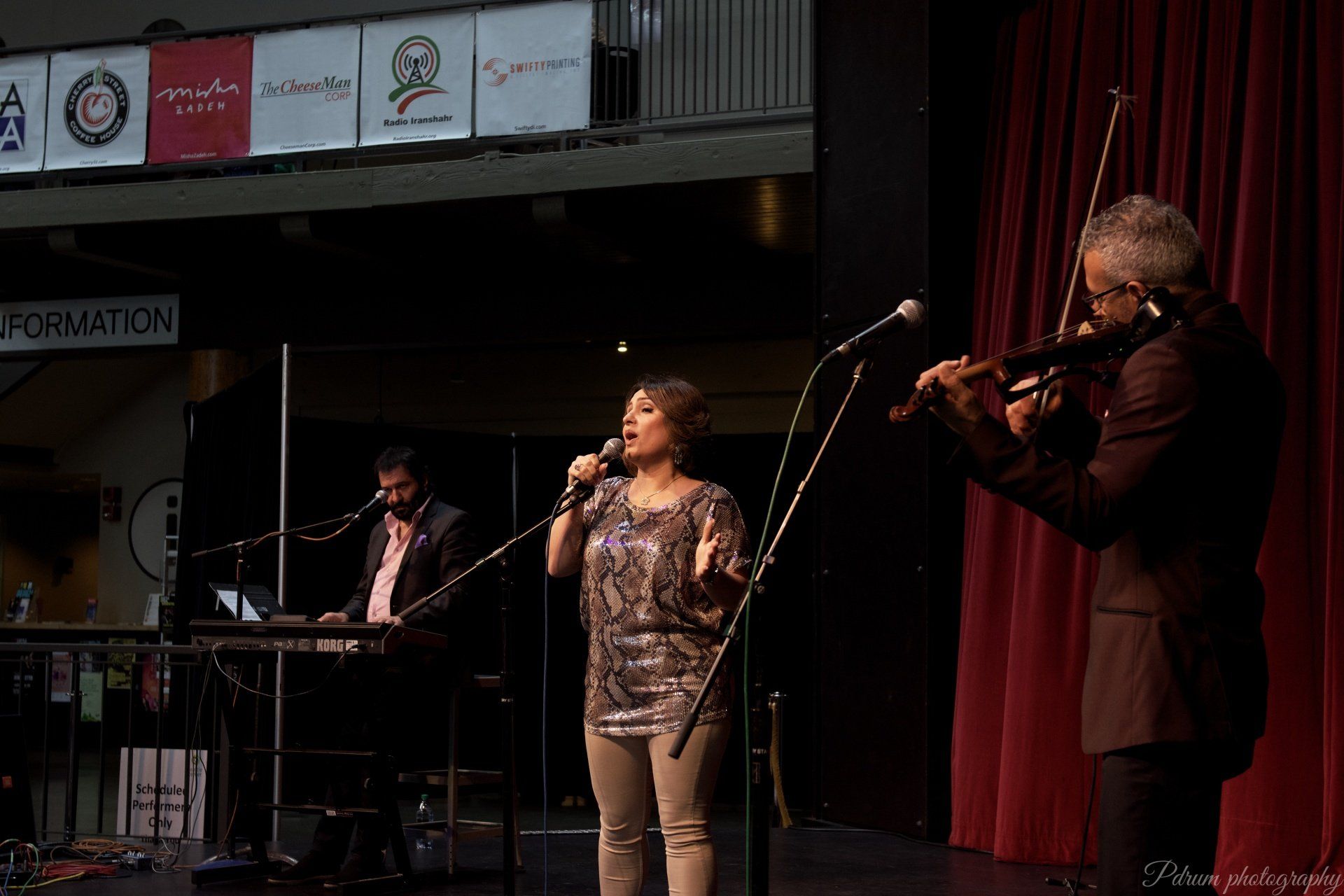 A man plays a violin while a woman sings into a microphone