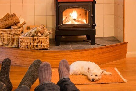 Old WoodStove — An Old Woodstove Beside The Log in Park, WA Cozy scene: People in socks near a fireplace with a dog resting on a rug. Wood baskets and logs.