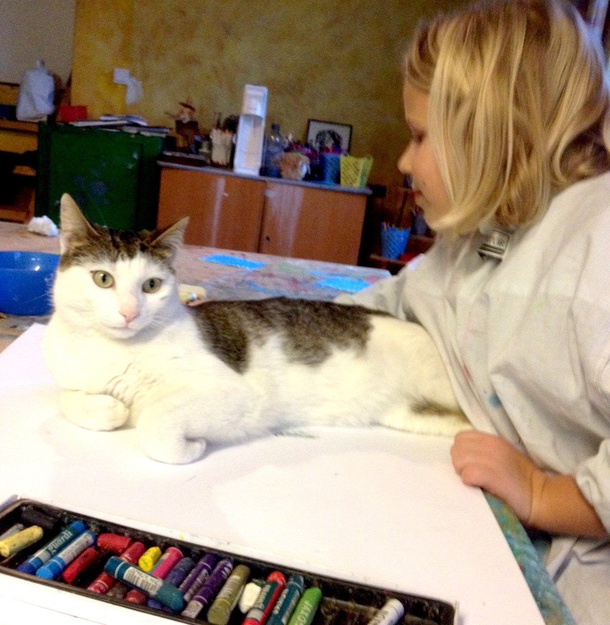 Blondes Kind streichelt eine weiß-graue Katze, die auf einer weißen Fläche ruht; Buntstifte liegen daneben.