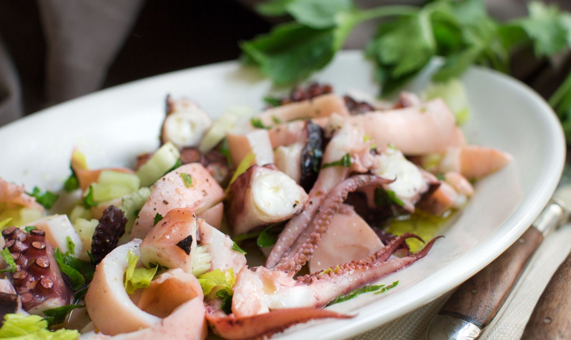 Seafood appetisers