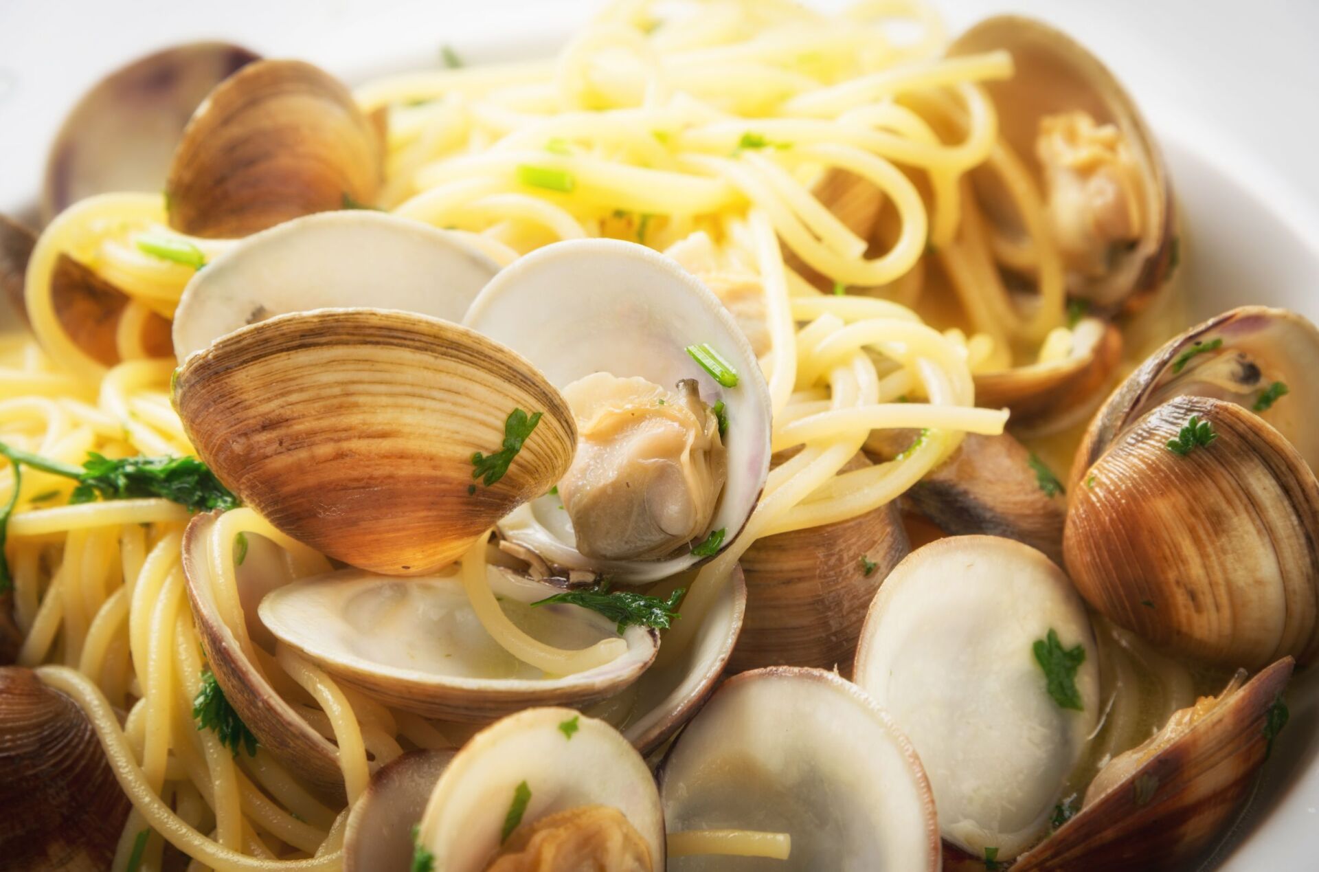 Pasta dishes