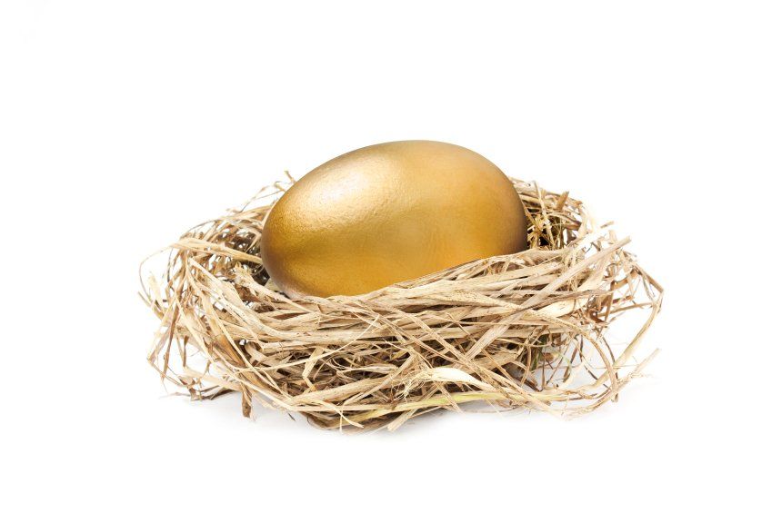 Golden egg in a nest
