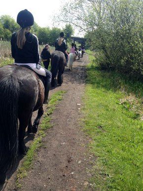Horse riding