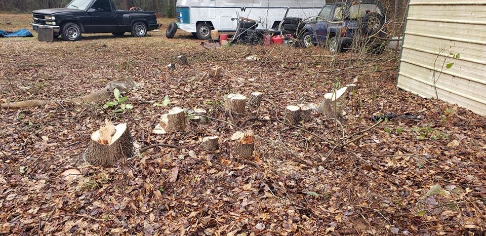 Stump Cutting