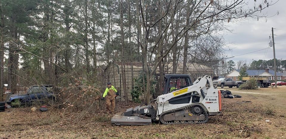 Tree Services